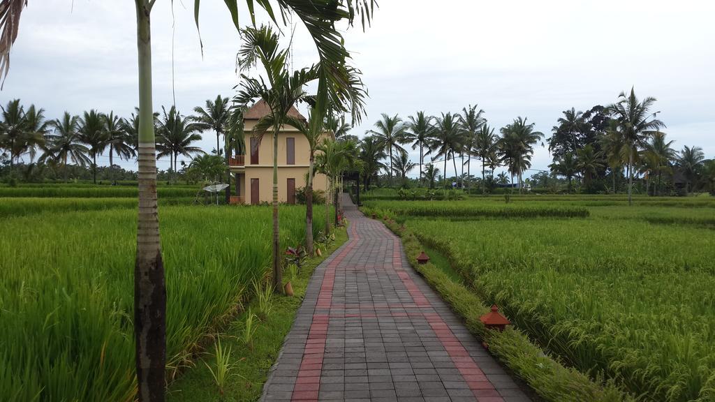 Manyi Village Ubud Extérieur photo