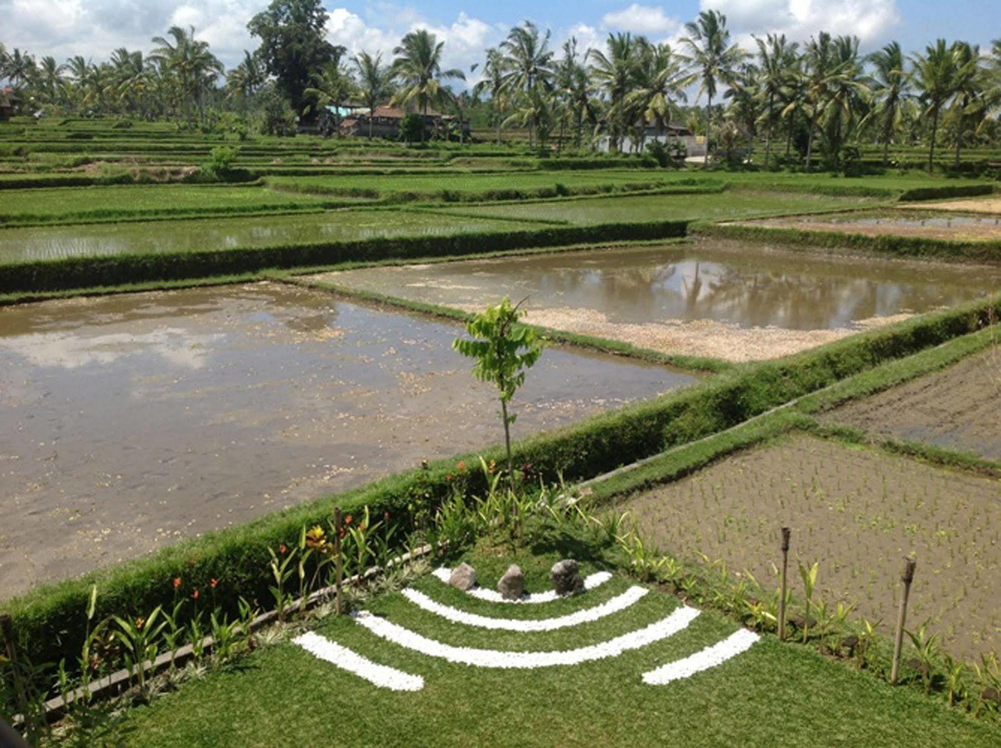 Manyi Village Ubud Extérieur photo